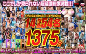 素人パンチラ in 自宅で個人撮影会 DX2 1375分54人14作品